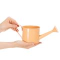 Ensemble d'arrosoirs décoratifs aux tons pastel saumon, vert et jaune-vert - pot en métal Ø11 cm H10 cm, 8 pièces | Floristik24.be