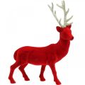Floristik24 Figurine déco cerf décoratif renne floqué rouge H40cm