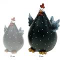 Floristik24 Poule déco, figurine printanière, décoration de Pâques, poule, déco poulet 18cm