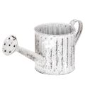 Floristik24 Arrosoir décoratif, jardinière, arrosoir pour plantation Ø10,5 cm