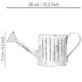 Arrosoir décoratif, jardinière, arrosoir pour plantation Ø10,5 cm | Floristik24.be