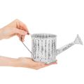 Arrosoir décoratif, jardinière, arrosoir pour plantation Ø10,5 cm | Floristik24.be