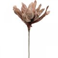 Floristik24 Déco fleur de lotus fleur de lotus artificielle fleur artificielle marron L68cm