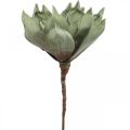 Floristik24 Déco fleur de lotus, fleur de lotus, fleur de soie verte L64cm
