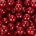 Perles décoratives Ø10mm rouge 115 pcs | Floristik24.be