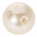 Perles décoratives Ø2cm champagne 12 pcs | Floristik24.be