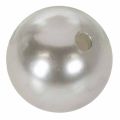 Perles décoratives Ø2cm argent 12 pcs | Floristik24.be