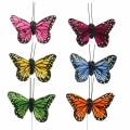 Floristik24 Papillons déco sur fil multicolore 5.5cm 24pcs
