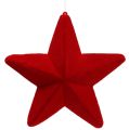 Floristik24 Déco étoile rouge floqué 20cm