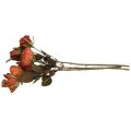 Floristik24 Bouquet de roses déco fleurs artificielles bouquet de roses orange 45cm 3pcs