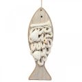 Floristik24 Déco poisson pendentif poisson en bois décoration maritime bois 6.5×19.5cm