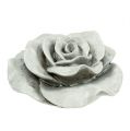 Floristik24 Décoratif rose gris 13cm