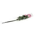 Floristik24 Rose décorative touffue vieux rose Ø 10 cm L 65 cm 3 ex