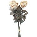 Floristik24 Roses décoratives Roses artificielles blanc crème fleurs en soie aspect antique L65cm paquet de 3