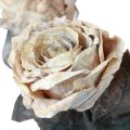 Floristik24 Roses décoratives Roses artificielles blanc crème fleurs en soie aspect antique L65cm paquet de 3
