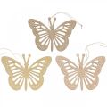 Floristik24 Déco papillons déco cintre beige/rose/jaune 12cm 12pcs