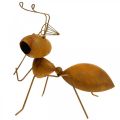 Floristik24 Figurine décorative fourmi filet à papillons en métal décoration de jardin rouille 19cm