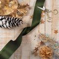 Ruban de satin pour emballage cadeau, ruban de taffetas, vert, 40 mm de large, 5 m de long | Floristik24.be