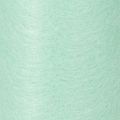Rouleau de tissu non tissé vert, 25 m, décoration de table, vendu au mètre | Floristik24.be