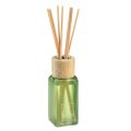 Floristik24 Diffuseur de parfum d&#39;ambiance en verre Camila Secret Garden Summer 100ml