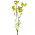 Floristik24 Aneth jaune plante d&#39;herbe artificielle aneth pour décorer L80cm