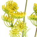 Floristik24 Aneth jaune plante d&#39;herbe artificielle aneth pour décorer L80cm