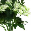 Floristik24 Aneth en fleurs, herbes artificielles, plante décorative verte, blanche 49cm 9pcs