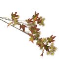 Branche d'automne artificielle de liquidambar avec feuilles et grappes de fruits, 132 cm | Floristik24.be