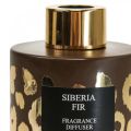 Floristik24 Diffuseur de parfum d&#39;ambiance Sapin de Sibérie Sapin de Sibérie 75ml