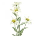 Floristik24 Edelweiss fleur artificielle blanc floqué 38cm