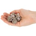 Glands, produit naturel de décoration, blanchis à la chaux, 1-3 cm, 300 g | Floristik24.be