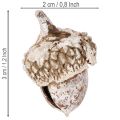 Glands, produit naturel de décoration, blanchis à la chaux, 1-3 cm, 300 g | Floristik24.be