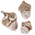 Glands, produit naturel de décoration, blanchis à la chaux, 1-3 cm, 300 g | Floristik24.be