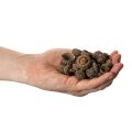 Coupes décoratives en forme de glands naturels, pour l'automne et l'Avent, 2 cm, 300 g | Floristik24.be