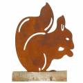 Floristik24 Patine écureuil sur le socle en bois 19cm x 25cm