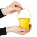 Seaux colorés, Ø8 cm H7,5 cm, lot de 12 | Floristik24.be