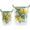 Floristik24 Pot méditerranéen en étain, jardinière motif citron blanc, vert, jaune H43,5/34cm L36,5/27,5cm lot de 2