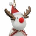 Floristik24 Figurines de Noël ange et renne à suspendre blanc, rouge Ø4.7cm H20 / 18cm 2pcs