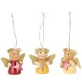 Floristik24 Pendentif décoratif ange avec étoile à suspendre, 5 cm, lot de 9