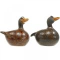 Floristik24 Déco canard figurine en céramique décoration printanière 12,5cm marron 2pcs