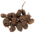 Floristik24 Cônes d'aulne, produit naturel pour la décoration et les loisirs créatifs, dorés, 3 cm, 300 g