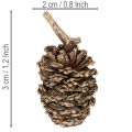 Cônes d'aulne, produit naturel pour la décoration et les loisirs créatifs, dorés, 3 cm, 300 g | Floristik24.be