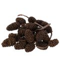 Floristik24 Cônes d'aulne naturels, en vrac, pour la décoration, 3 cm, 300 g, brun naturel.