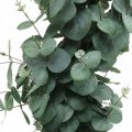 Floristik24 Eucalyptus en pot Plante artificielle Décoration végétale artificielle H87cm