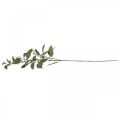 Floristik24 Branche d&#39;eucalyptus artificielle avec bourgeons déco branche 60cm