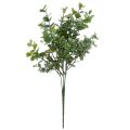 Floristik24 Décoration d&#39;eucalyptus plantes artificielles branches d&#39;eucalyptus 34cm
