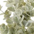 Branche d'eucalyptus artificielle, branche décorative pour vases et bouquets, 49 cm, lot de 4 | Floristik24.be