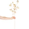 Branche d'eucalyptus artificielle, branche décorative pour vase, 100 cm | Floristik24.be