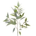 Floristik24 Branche d'eucalyptus artificielle, vert naturel, décoration, 100 cm