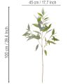 Branche d'eucalyptus artificielle, vert naturel, décoration, 100 cm | Floristik24.be